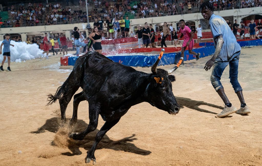 Toro piscine